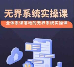 无界系统实操课【38节完整版】,全体系落地无界改版后选择、出价、高投产做付费引流-天天有课网
