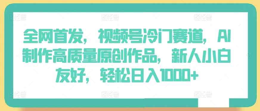 全网首发，视频号冷门赛道，AI制作高质量原创作品，新人小白友好，轻松日入1000+【揭秘】-天天有课网