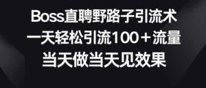 Boss直聘野路子引流术,一天轻松引流100+流量,当天做当天见效果-天天有课网