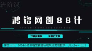 鸿铭网创88计第50计:2024小红书萌宠赛道私域玩法变现教学,月入2w+【上】-天天有课网