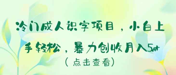 冷门成人识字项目，小白上手轻松，暴力创收月入5w+【揭秘】-天天有课网