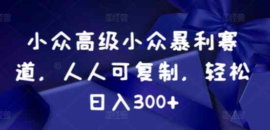 小众暴利赛道，人人可复制，轻松日入300+-天天有课网
