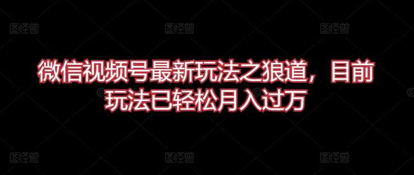 微信视频号最新玩法之狼道，目前玩法已轻松月入过万【揭秘】-天天有课网