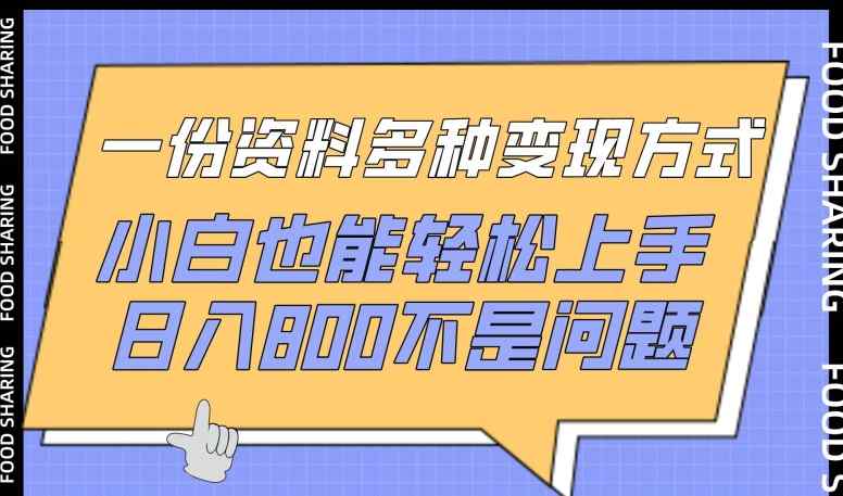 一份资料多种变现方式，小白也能轻松上手，日入800不是问题【揭秘】-天天有课网