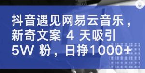 抖音遇见网易云音乐,新奇文案 4 天吸引 5W 粉,日挣1000+【揭秘】-天天有课网