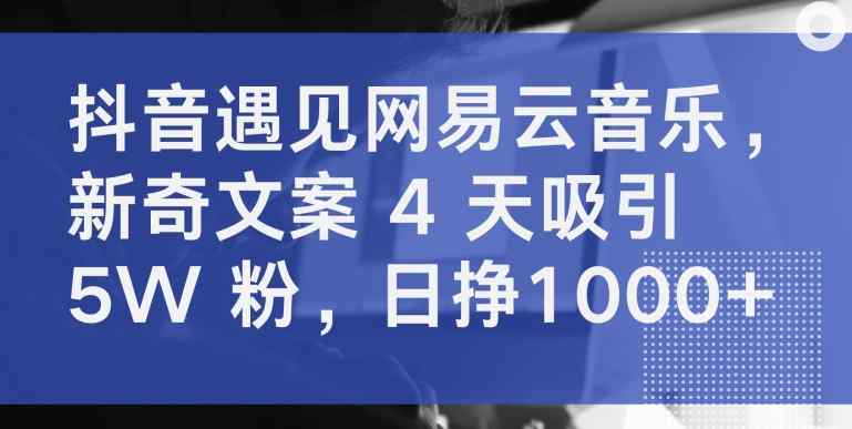 抖音遇见网易云音乐，新奇文案 4 天吸引 5W 粉，日挣1000+【揭秘】-天天有课网