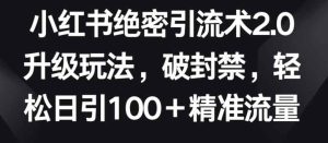 小红书绝密引流术2.0升级玩法，破封禁，轻松日引100+精准流量【揭秘】-天天有课网