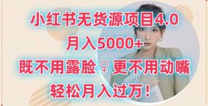 小红书无货源项目4.0.月入5000+，既不用露脸，更不用动嘴，轻松月入过万-天天有课网