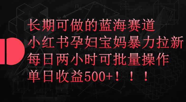 长期可做的蓝海赛道，小红书孕妇宝妈暴力拉新玩法，每日两小时可批量操作，单日收益500+【揭秘】-天天有课网