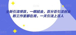 全新引流项目,一眼就会,百分百引流创业粉工作室都在用,一天引流上百人-天天有课网