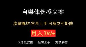 自媒体伤感文案,流量爆炸,容易上手,可复制可矩阵,月入3W+-天天有课网