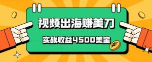 国内爆款视频出海赚美刀，实战收益4500美金，批量无脑搬运，无需经验直接上手-天天有课网
