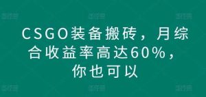 CSGO装备搬砖,月综合收益率高达60%,你也可以-天天有课网