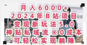 月入6000+，2024年B站项目变现新玩法5.0.神贴私域流0成本，可轻松实现躺赚-天天有课网