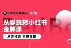 王导主·小红书电商运营实操课,从零打造 全程实操-天天有课网