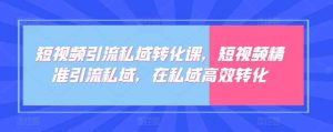 短视频引流私域转化课，短视频精准引流私域，在私域高效转化-天天有课网