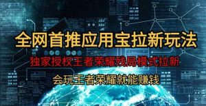 【全网首发】腾讯应用宝王者荣耀残局模式拉新赛道，轻松日如1000+-天天有课网