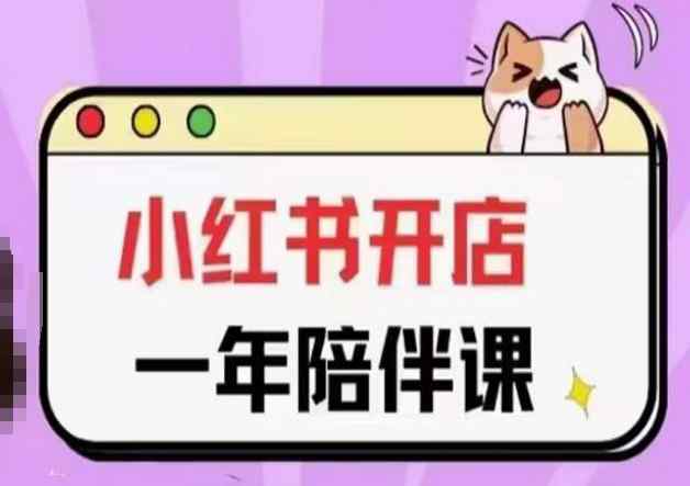 三九小红书开店一年陪伴课(更新)，从0到1玩赚小红书开店-天天有课网
