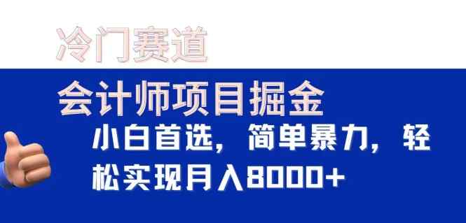 冷门赛道，会计师项目掘金，小白首选，简单暴力，轻松实现月入8000+-天天有课网