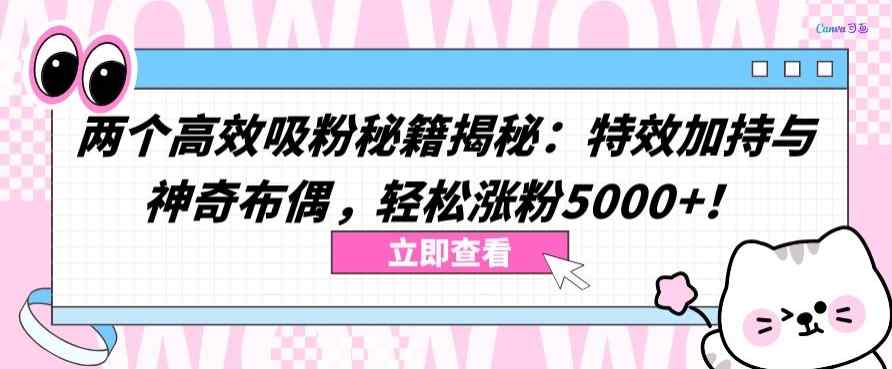两个高效吸粉秘籍揭秘：特效加持与神奇布偶，轻松涨粉5000+【揭秘】-天天有课网