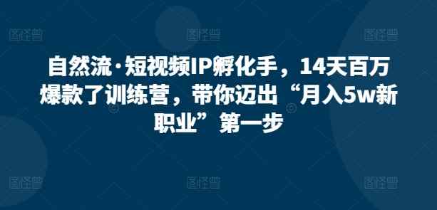 自然流·短视频IP孵化手，14天百万爆款了训练营，带你迈出“月入5w新职业”第一步-天天有课网