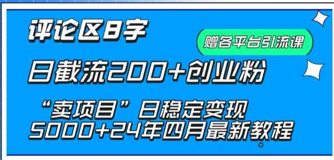抖音评论区8字日截流200+创业粉 “卖项目”日稳定变现5000+【揭秘】-天天有课网