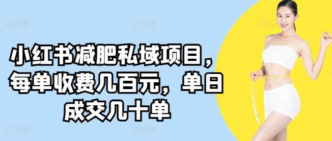 小红书减肥私域项目，每单收费几百元，单日成交几十单-天天有课网