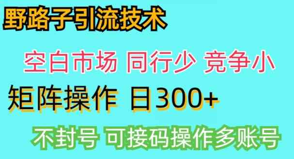 拼多多野路子引流创业粉实战教学，手动操作，用户转化率高-天天有课网