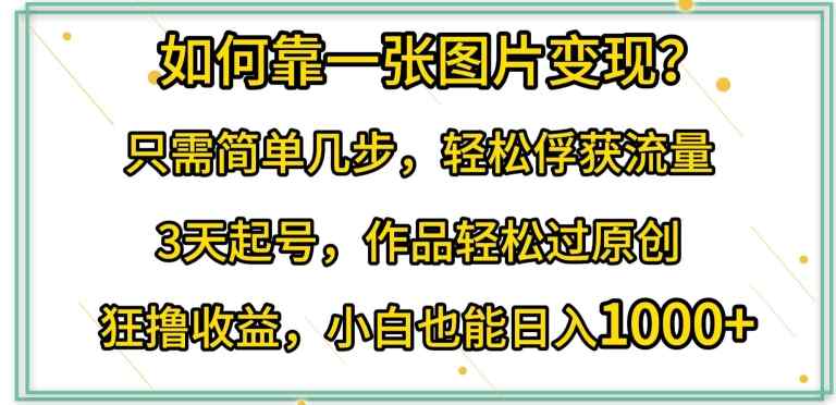 如何靠一张图片变现?只需简单几步，轻松俘获流量，3天起号，作品轻松过原创【揭秘】-天天有课网