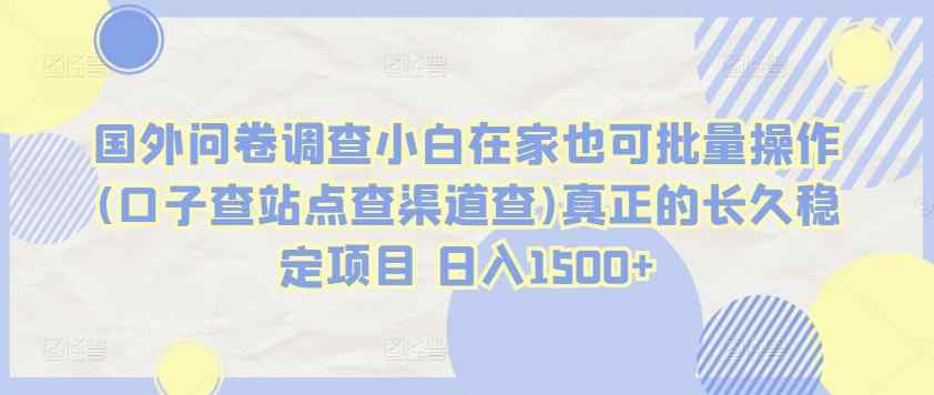 国外问卷调查小白在家也可批量操作(口子查站点查渠道查)真正的长久稳定项目 日入1500+【揭秘】-天天有课网