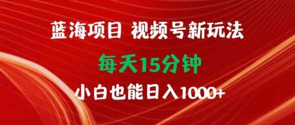 蓝海项目，视频号新玩法，每天15分钟，小白也能日入1000+-天天有课网