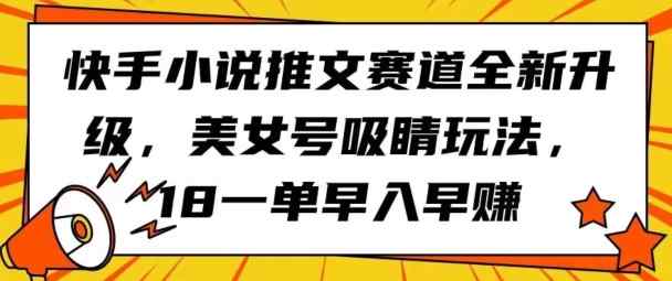 快手小说推文赛道全新升级，美女号吸睛玩法，18一单早入早赚-天天有课网