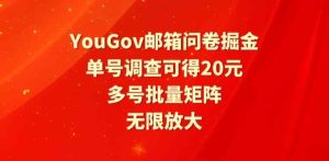 YouGov邮箱问卷掘金，单号调查可得20元，批量矩阵无限放大-天天有课网