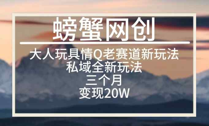 大人玩具情Q用品赛道私域全新玩法，三个月变现20W，老项目新思路【揭秘】-天天有课网