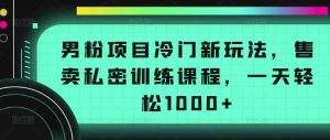 男粉项目冷门新玩法，售卖私密训练课程，一天轻松1000+【揭秘】-天天有课网