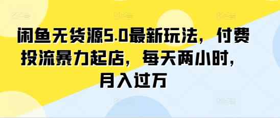 闲鱼无货源5.0最新玩法，付费投流暴力起店，每天两小时，月入过万!-天天有课网