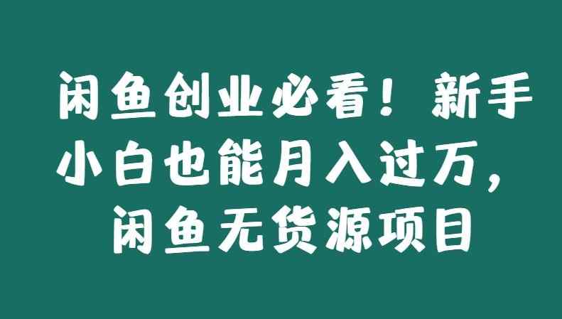 闲鱼创业必看！新手小白也能月入过万，闲鱼无货源项目-天天有课网