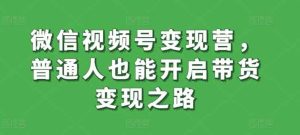 微信视频号变现营，普通人也能开启带货变现之路-天天有课网