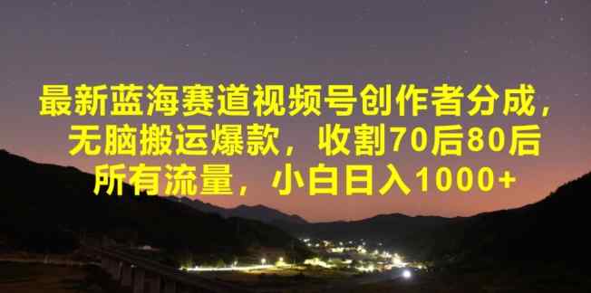 最新蓝海赛道视频号创作者分成，无脑搬运爆款，收割70后80后所有流量，小白日入1000-天天有课网