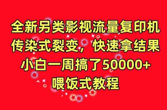 全新另类影视流量复印机，传染式裂变，快速拿结果，小白一周搞了50000+，喂饭式教程【揭秘】-天天有课网