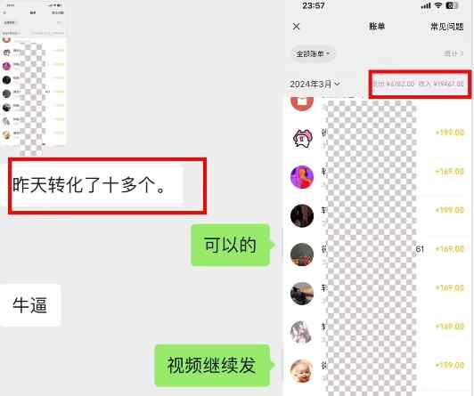 抖音最新引流创业粉+变现保姆式教程 直接无脑套模板即可