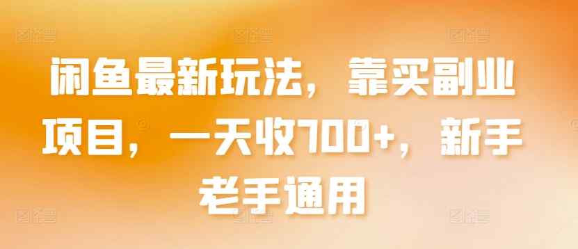 闲鱼最新玩法，靠买副业项目，一天收700+，新手老手通用【揭秘】-天天有课网
