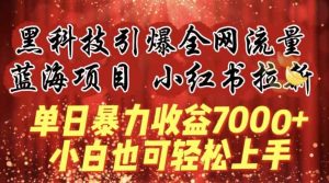 蓝海项目!黑科技引爆全网流量小红书拉新，单日暴力收益7000+，小白也能轻松上手【揭秘】-天天有课网