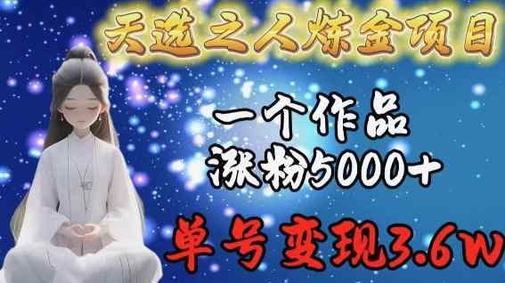 天选之人炼金项目，一个作品涨粉5000+，单号变现3.6w【揭秘】-天天有课网