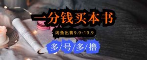 每天花1分钱买一本书，闲鱼出售9.9-19.9不等，多账号多撸，新手小白均可操作-天天有课网