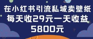 在小红书引流私域卖壁纸每张29元单日最高卖出200张(0-1搭建教程)【揭秘】-天天有课网