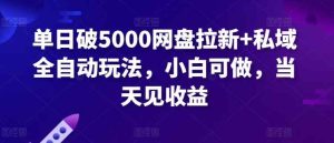 单日破5000网盘拉新+私域全自动玩法，小白可做，当天见收益-天天有课网