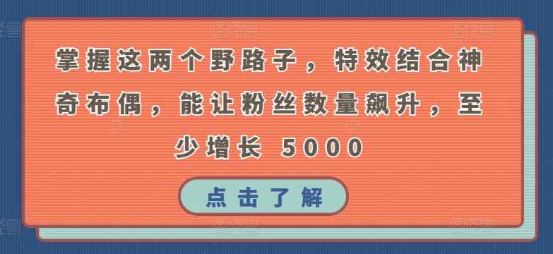 掌握这两个野路子，特效结合神奇布偶，能让粉丝数量飙升，至少增长 5000【揭秘】-天天有课网