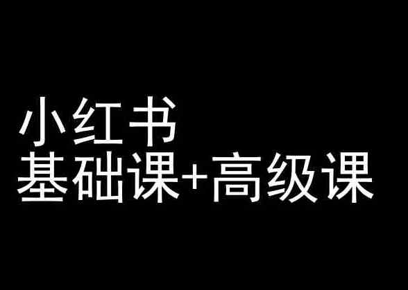 小红书基础课+高级课-小红书运营教程-天天有课网