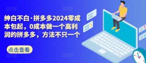 拼多多2024零成本包起,0成本做一个高利润的拼多多,方法不只一个-天天有课网